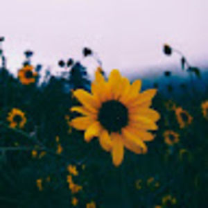 Meet your Posher, U-u uwu